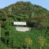 廃城跡に行ってみよう〔第２回／佐和山城〕