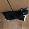黒猫ミネットのおてんば日記(2016年7月29日) 黒猫ミネットのおてんば日記(2016年7月29日)