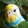黄色い鳥は幸せの鳥？